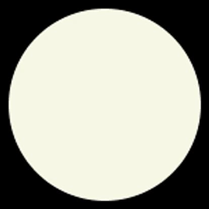 Coloris Pearl, coque acrylique