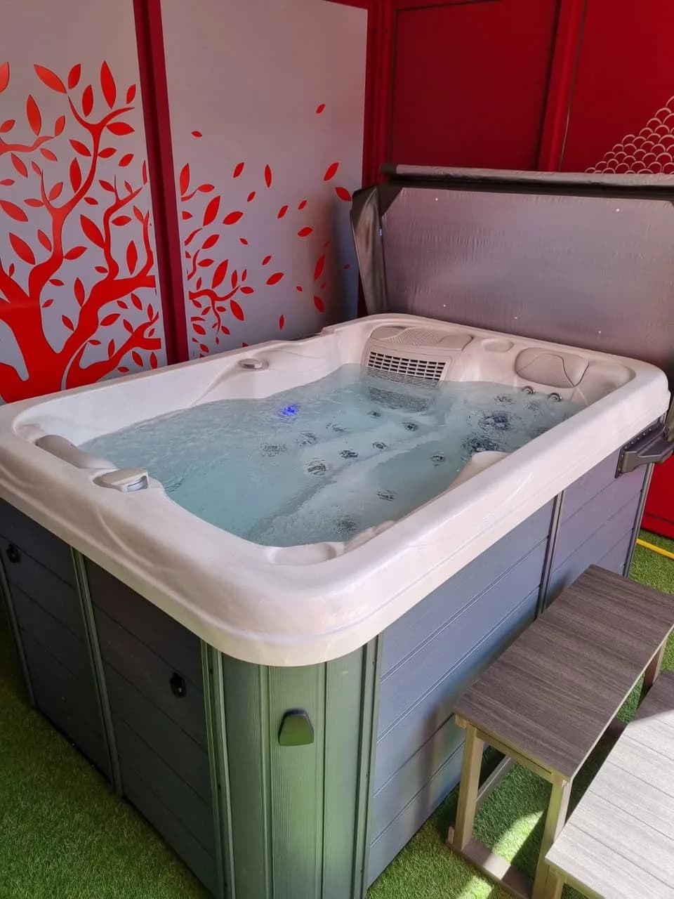 Installation d'un spa Ecoline 690 à Richwiller, sous abri devant un mur rouge décoré