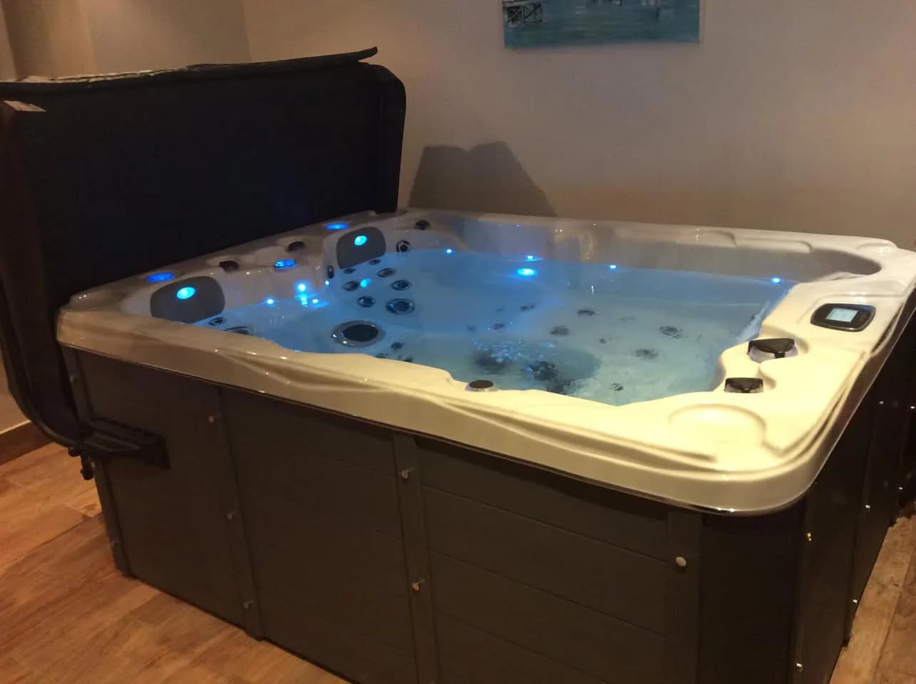 Installation d'un spa Montana à Lanet, en intérieur, éclairage LED allumé