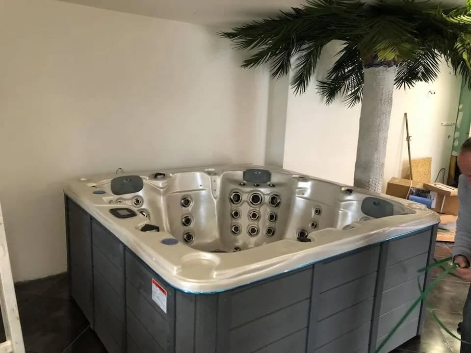 Installation d'un spa Ottawa à Chevalot, en intérieur, à côté d'un palmier décoratif