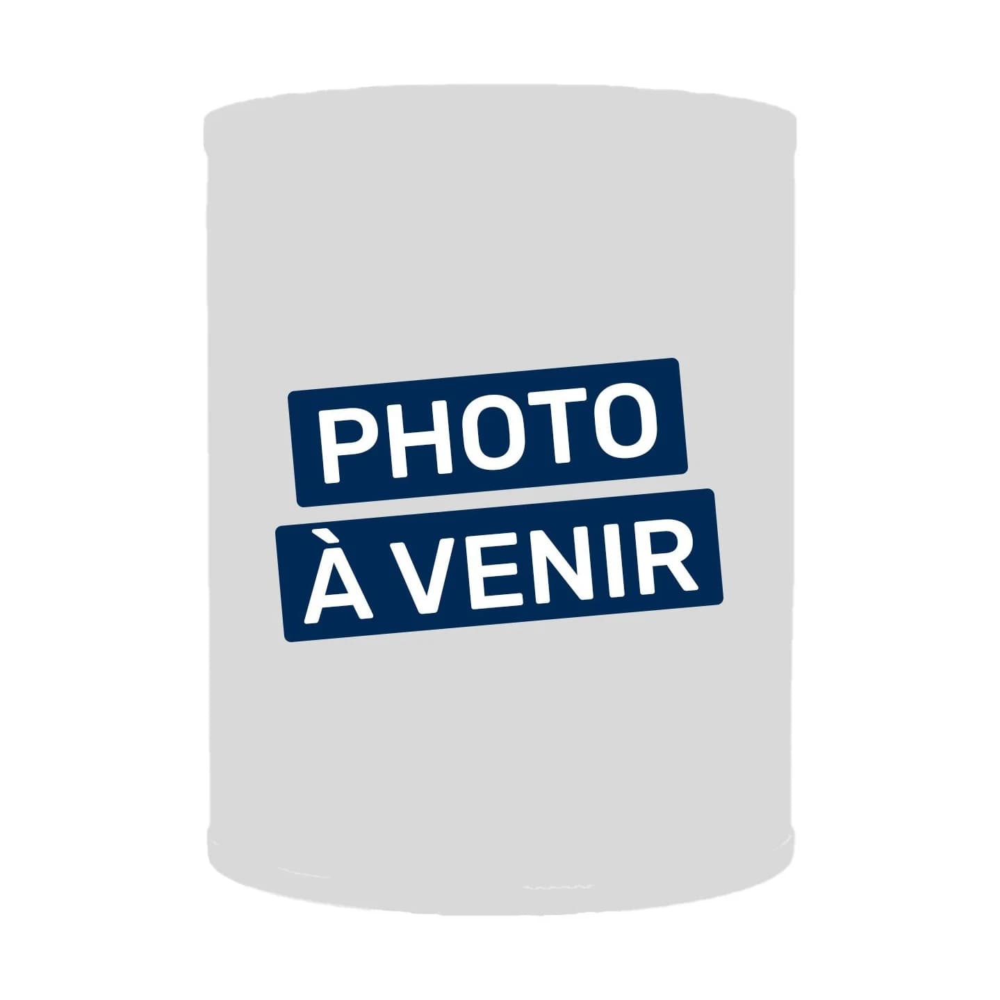 Filtre de spa AKU3001 / SC832 / PWL35P3, cartouche filtrante